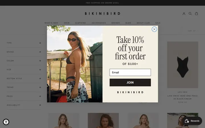 Website page titled One-Piece Swimsuits | Designer Swim | Bikinibird