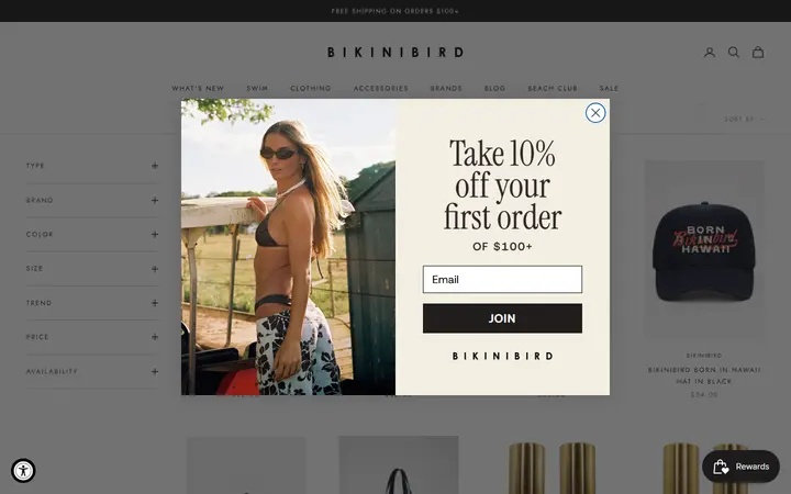 Website page titled Beach Accessories | Sunglasses, Hats & More | Bikinibird