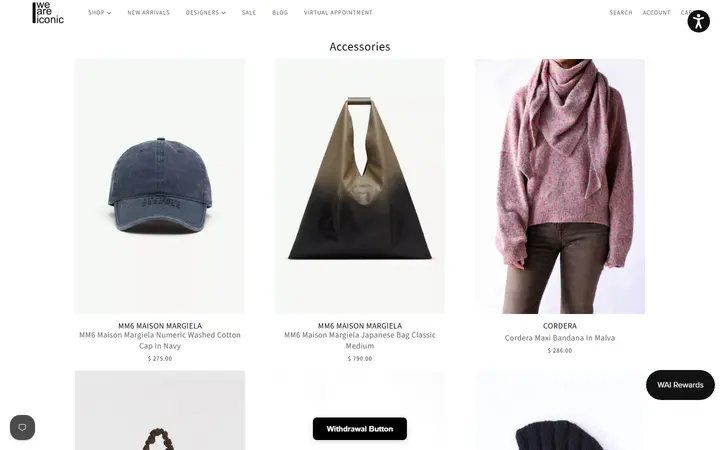 Website page titled Accessories | WE ARE ICONIC