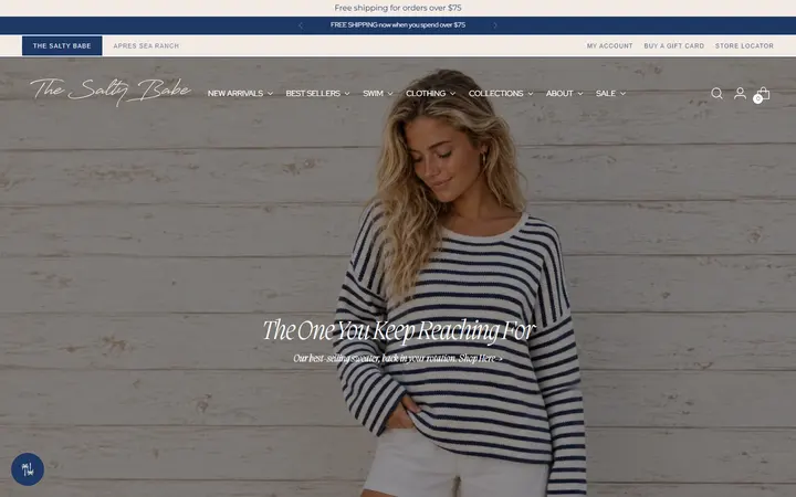 Preview of The Salty Babe website