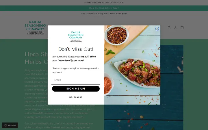 Website page titled American Express