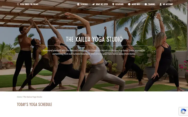 Preview of Yoga Under the Palms website
