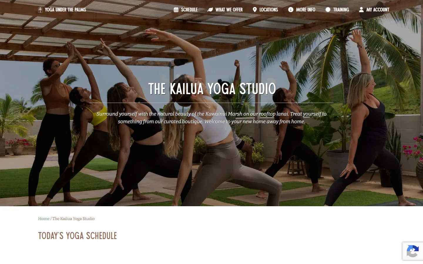 Viewport capture of Yoga Under the Palms website